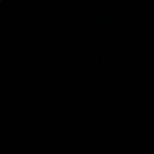 Meet your Posher, Will